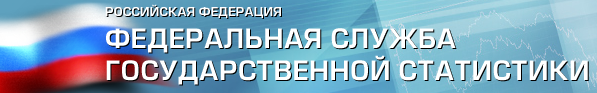 Федеральная служба государственной статистики